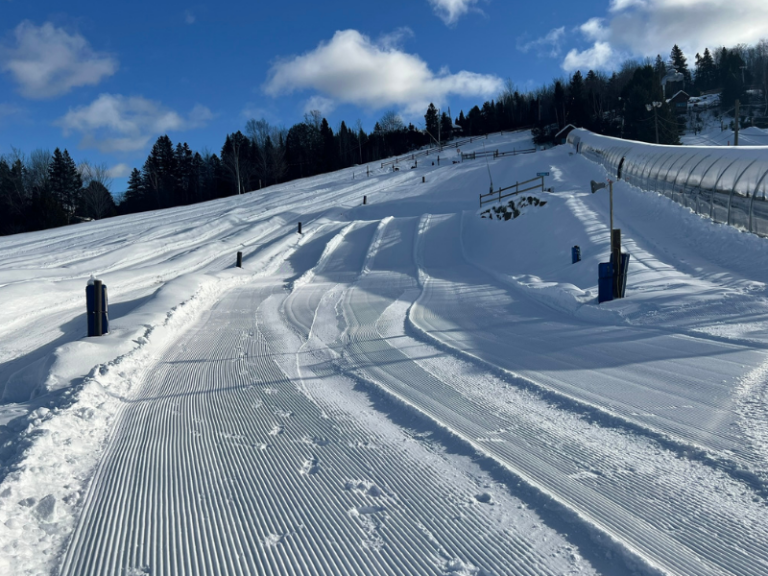 Jeu Les Pingouins Glisseurs MB Vintage 1996 - Gare Aux Glissades !